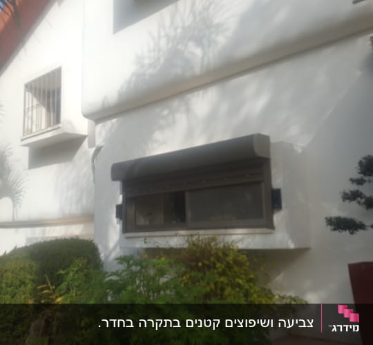 קיר חיצוני צבוע בלבן עם חלון קטן